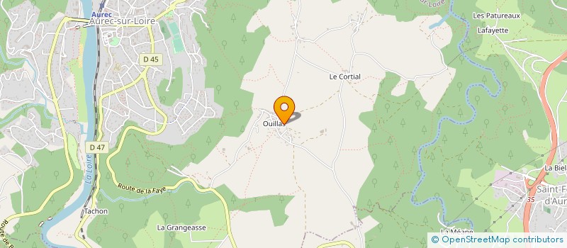 localisation de l'entreprise MONSIEUR IRWIN DERAIL  AUREC-SUR-LOIRE