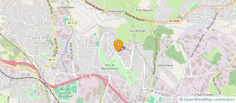 localisation de l'entreprise MONSIEUR ISA DEMIREV  SAINT-ETIENNE