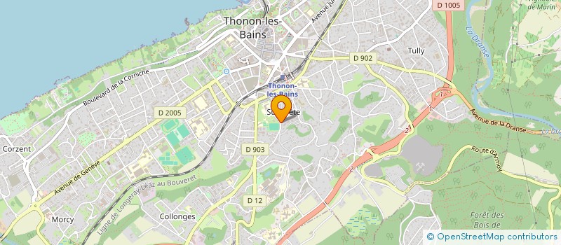localisation de l'entreprise MONSIEUR ISAIE MARTINI à THONON-LES-BAINS