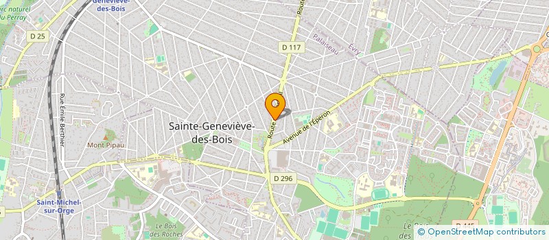 localisation de l'entreprise MONSIEUR ISKANDER BEN ALI  SAINTE-GENEVIEVE-DES-BOIS