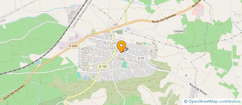 localisation de l'entreprise MONSIEUR ISMAEL ALTIN  NISSAN-LEZ-ENSERUNE