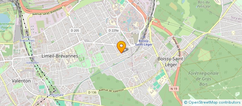 localisation de l'entreprise MONSIEUR ISMAEL MADINI  LIMEIL-BREVANNES