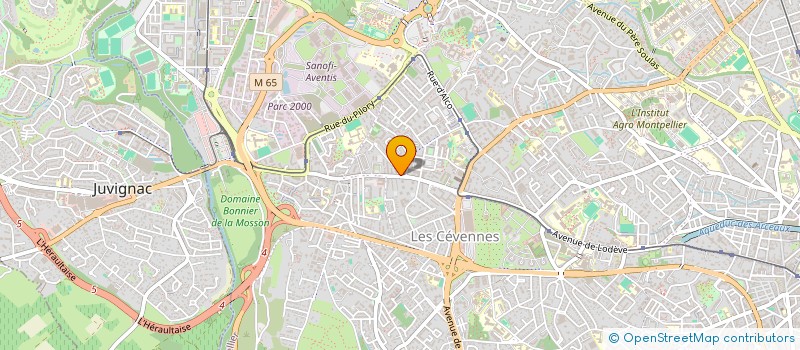 localisation de l'entreprise MONSIEUR ISMAIL DRAOUI AIT AISSA à MONTPELLIER