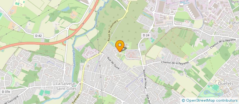 localisation de l'entreprise MONSIEUR ISMAYL TOUDANI  PLAISANCE-DU-TOUCH