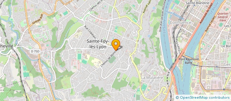 localisation de l'entreprise MONSIEUR ISSA DIALLO  SAINTE-FOY-LES-LYON