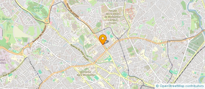 localisation de l'entreprise MONSIEUR ISSA TIEMOKO DIABATE à MONTPELLIER