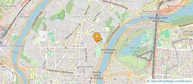 localisation de l'entreprise MONSIEUR ISSAM RICHA  LYON