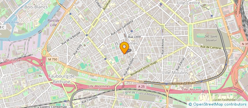 localisation de l'entreprise MONSIEUR IT-HUNG TRANG  LILLE