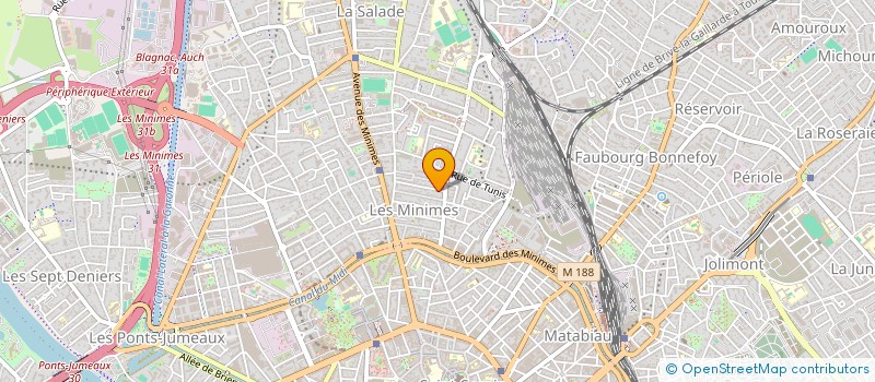 localisation de l'entreprise MONSIEUR IULEN LEOZ à TOULOUSE