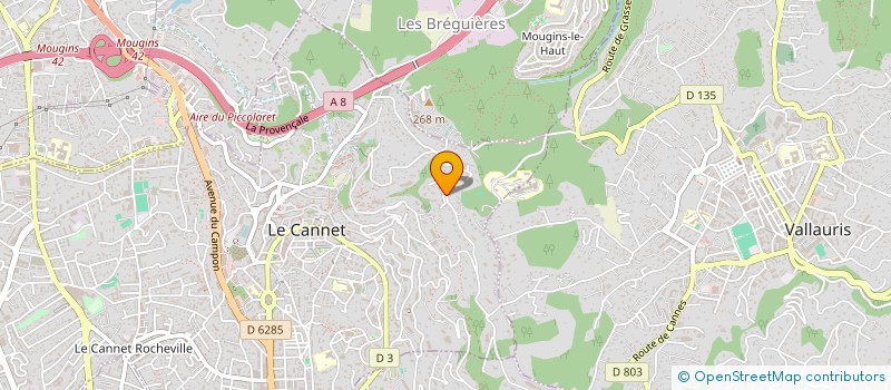 localisation de l'entreprise MONSIEUR IULIAN SUHACEVSCHI à LE CANNET