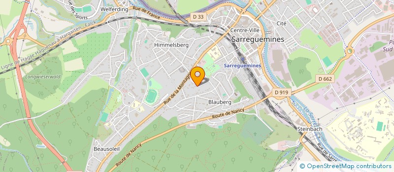 localisation de l'entreprise MONSIEUR IULIAN TACU à SARREGUEMINES