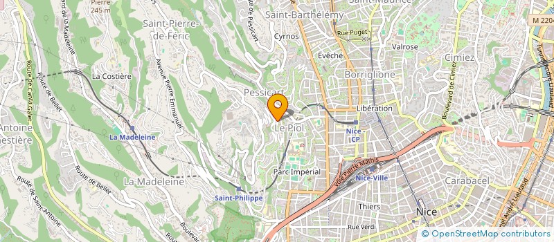 localisation de l'entreprise MONSIEUR IURI ODOLSCHI  NICE