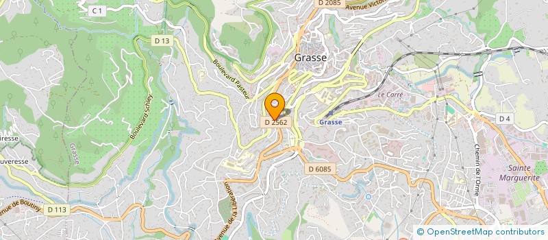 localisation de l'entreprise MONSIEUR IURIE LEVINTA  GRASSE