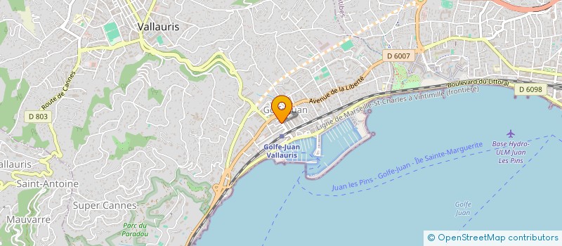 localisation de l'entreprise MONSIEUR IURIE STIRBU  VALLAURIS