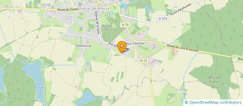 localisation de l'entreprise MONSIEUR IURY CANCY  PIERRE-DE-BRESSE