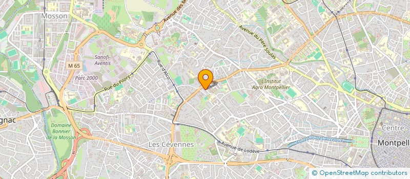localisation de l'entreprise MONSIEUR IVAN BERDNIK à MONTPELLIER