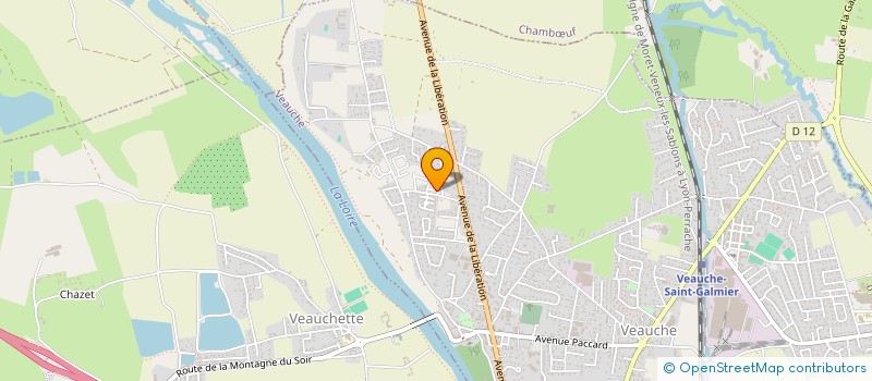 localisation de l'entreprise MONSIEUR IVAN GORALIK  VEAUCHE