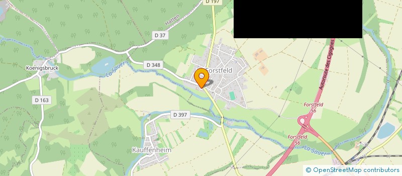 localisation de l'entreprise MONSIEUR IVAN REPPERT  FORSTFELD