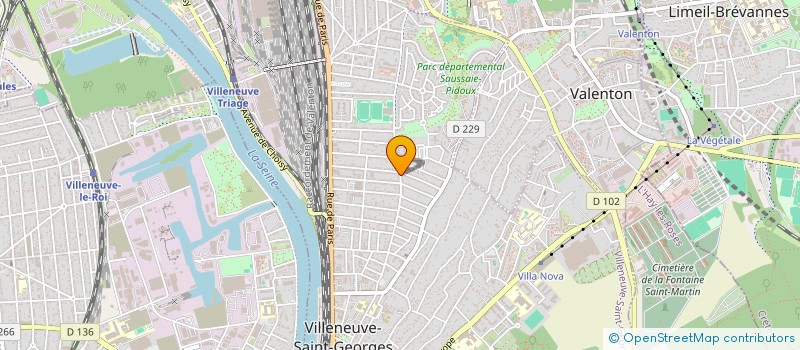 localisation de l'entreprise MONSIEUR IVANDRO DE JESUS FERNANDES LOPES  VILLENEUVE-SAINT-GEORGES