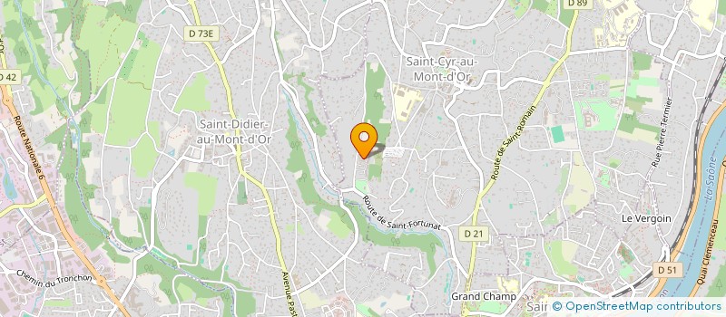 localisation de l'entreprise MONSIEUR IVANE MINIKES  SAINT-CYR-AU-MONT-D'OR