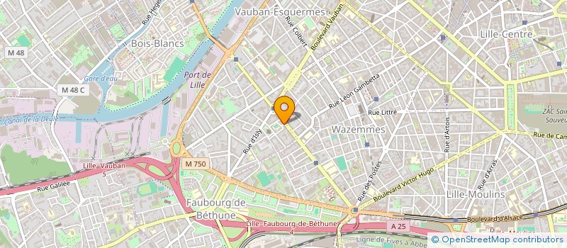 localisation de l'entreprise MONSIEUR IVANN LEBORRGNE à LILLE