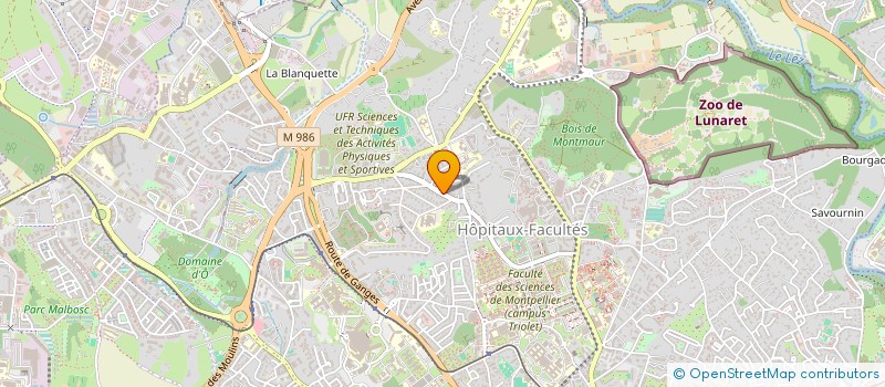 localisation de l'entreprise MONSIEUR JAAFAR AZAMI HASSANI à MONTPELLIER