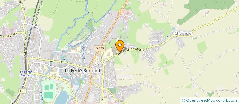 localisation de l'entreprise MONSIEUR JACKY GUILLEMIN à CHERRE-AU