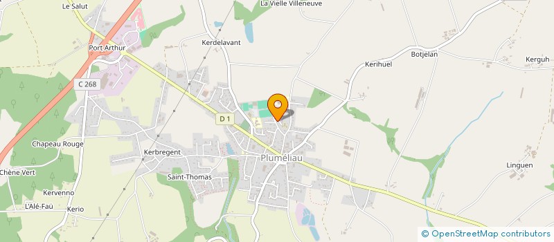 localisation de l'entreprise MONSIEUR JACKY HORNEC  PLUMELIAU-BIEUZY