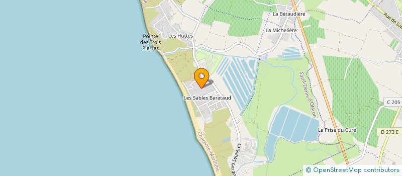 localisation de l'entreprise MONSIEUR JACKY NERI  SAINT DENIS D'OLERON