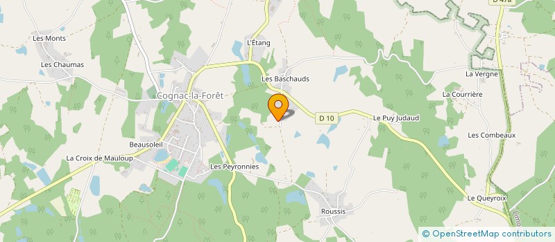 localisation de l'entreprise MONSIEUR JACKY VIDIS  COGNAC-LA-FORET