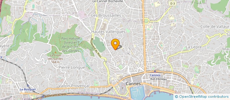localisation de l'entreprise MONSIEUR JACOB NIELSEN à CANNES