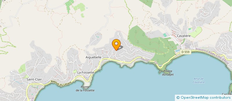 localisation de l'entreprise MONSIEUR JACQUES ARENE à LE LAVANDOU