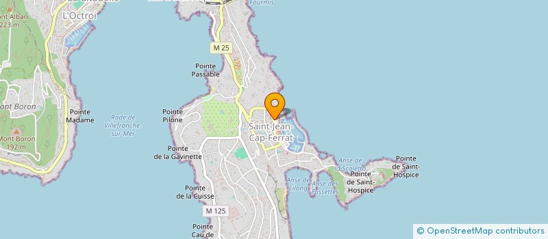 localisation de l'entreprise MONSIEUR JACQUES BAUDUIN  SAINT-JEAN-CAP-FERRAT
