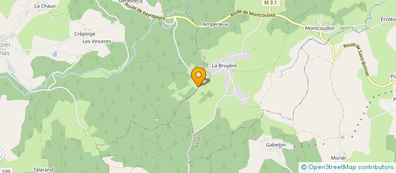 localisation de l'entreprise MONSIEUR JACQUES BOYER  SAINT-NIZIER-DE-FORNAS