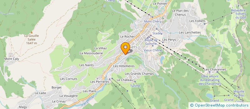 localisation de l'entreprise MONSIEUR JACQUES COPPEL à LES GETS