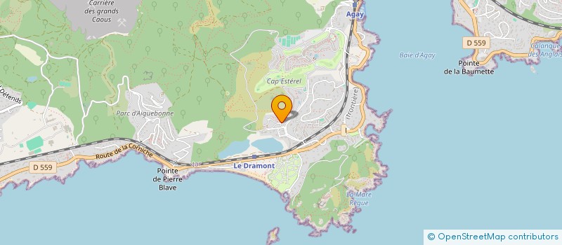 localisation de l'entreprise MONSIEUR JACQUES DELCOURT  SAINT-RAPHAEL