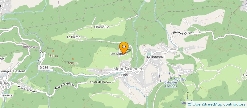 localisation de l'entreprise MONSIEUR JACQUES DELEMONTEX  MONT-SAXONNEX