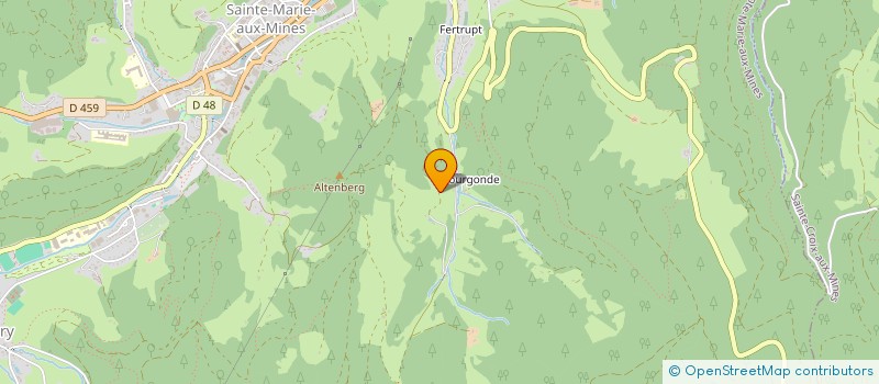 localisation de l'entreprise MONSIEUR JACQUES DROUAN  SAINTE-MARIE-AUX-MINES