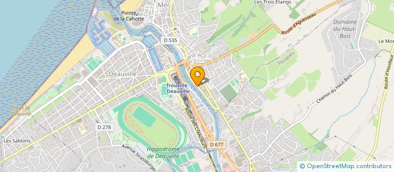 localisation de l'entreprise MONSIEUR JACQUES FLEURY  TROUVILLE-SUR-MER