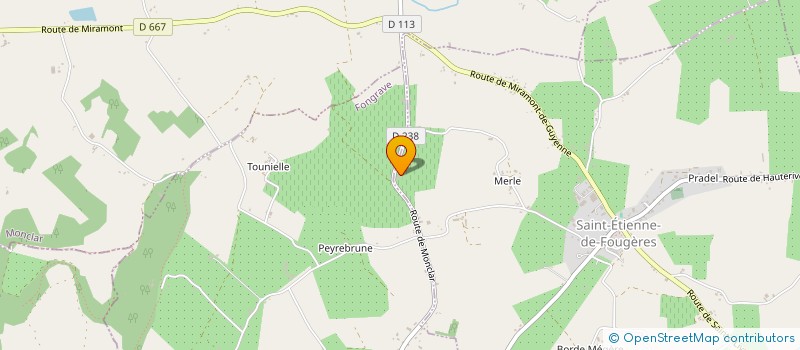 localisation de l'entreprise MONSIEUR JACQUES GABET  SAINT-ETIENNE-DE-FOUGERES