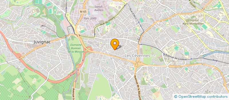 localisation de l'entreprise MONSIEUR JACQUES LAGNETTI à MONTPELLIER