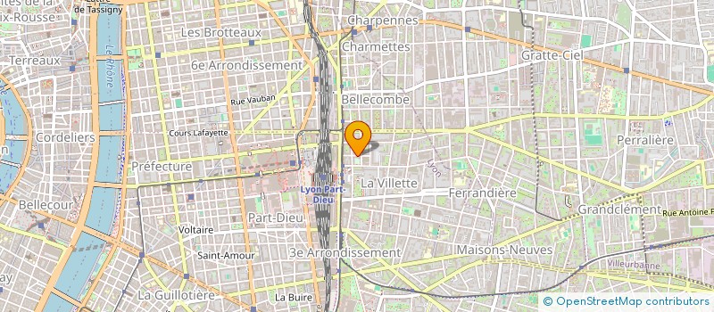 localisation de l'entreprise MONSIEUR JACQUES LEVI à LYON