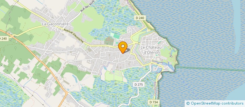 localisation de l'entreprise MONSIEUR JACQUES MONTHEZIN  LE CHATEAU-D'OLERON