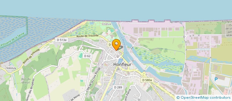 localisation de l'entreprise MONSIEUR JACQUES SAMYNADEN à HONFLEUR