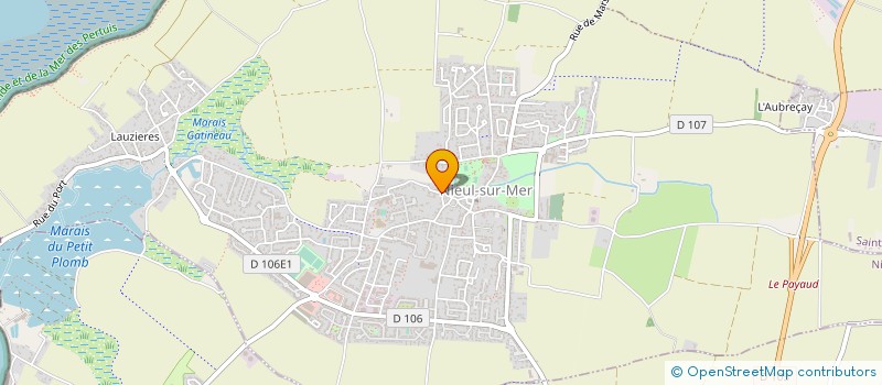 localisation de l'entreprise MONSIEUR JACQUES SOURISSEAU  NIEUL-SUR-MER