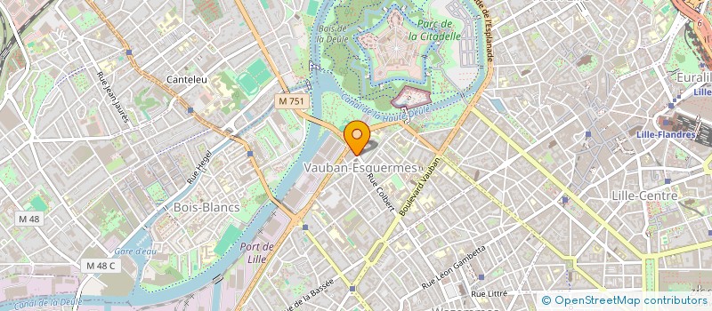 localisation de l'entreprise MONSIEUR JACQUES VERGNAUD  LILLE