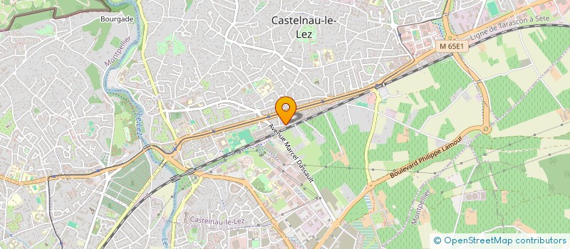 localisation de l'entreprise MONSIEUR JAIME SALVADOR CARRILLO  CASTELNAU-LE-LEZ