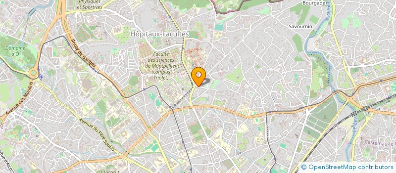 localisation de l'entreprise MONSIEUR JAIME TOCRRUNCHO à MONTPELLIER