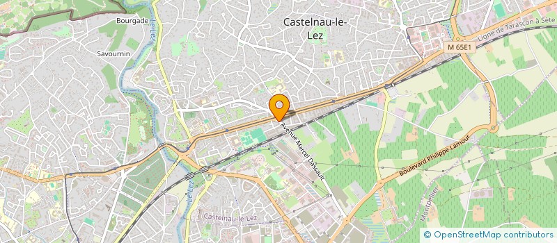 localisation de l'entreprise MONSIEUR JALIL NAJEH à CASTELNAU-LE-LEZ