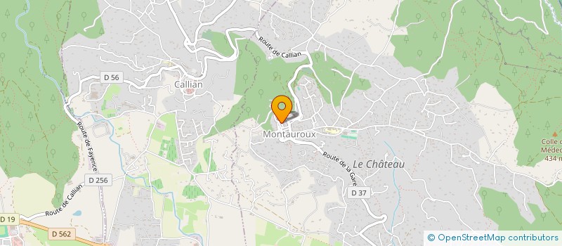 localisation de l'entreprise MONSIEUR JAMEL KARMOUS  MONTAUROUX